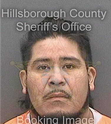 Martinez--Silvestre Ernesto - Hillsborough County, FL 