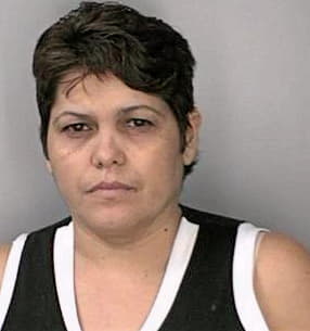 Ortiz Nereida - Hillsborough County, FL 