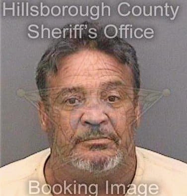 Perez Anibal - Hillsborough County, FL 