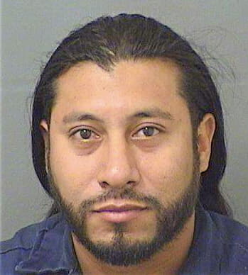 Cardona Demetrio - PalmBeach County, FL 