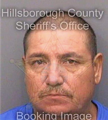 Mendozaramblas Martin - Hillsborough County, FL 