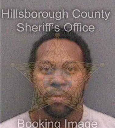 Simmons Nicholas - Hillsborough County, FL 