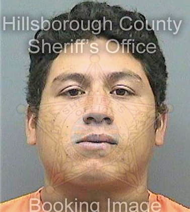 Silvavasquez Frederic - Hillsborough County, FL 