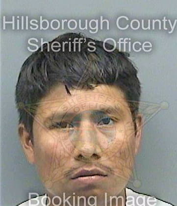 Martinez Abram - Hillsborough County, FL 