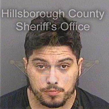 Trevino Luis - Hillsborough County, FL 