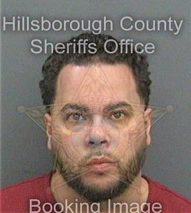 Soto Daniel - Hillsborough County, FL 