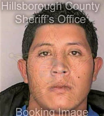 Vargas Juan - Hillsborough County, FL 