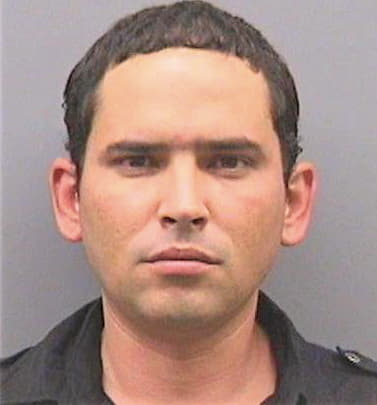 Gonzalez Yaniel - Hillsborough County, FL 