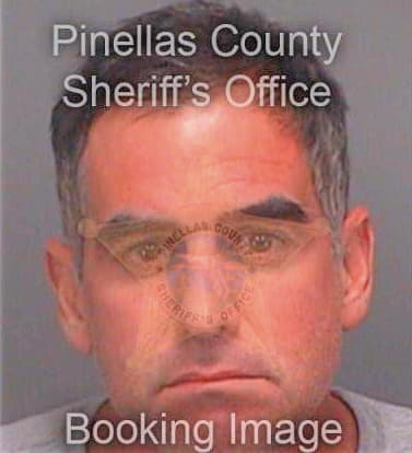 Fernandezmorrell Andres - Pinellas County, FL 