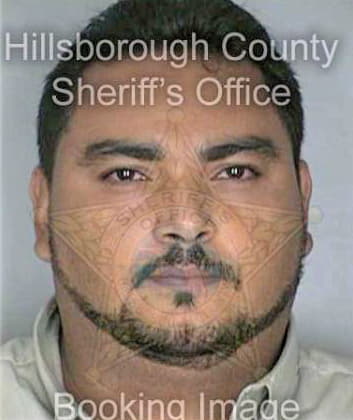 Martinez Domingo - Hillsborough County, FL 