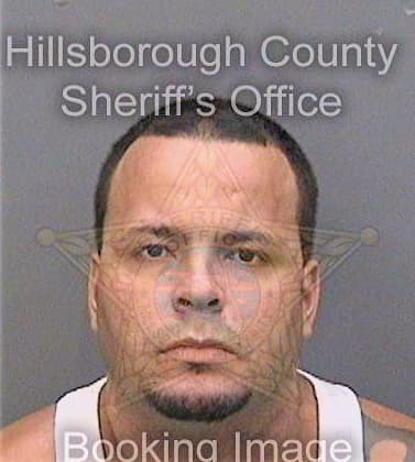 Feliciano Sherwin - Hillsborough County, FL 