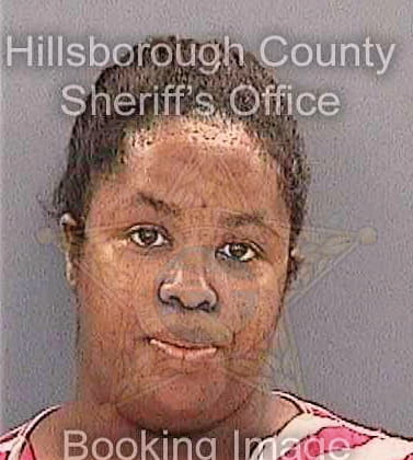 Johnson Darlene - Hillsborough County, FL 