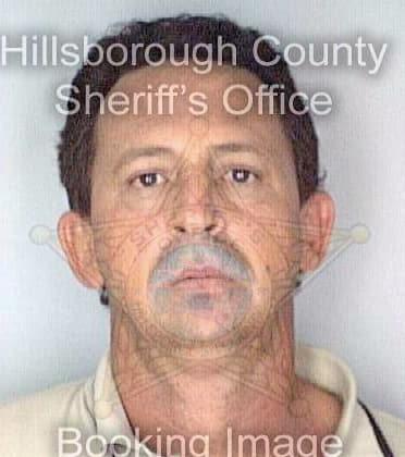 Gort Jorge - Hillsborough County, FL 