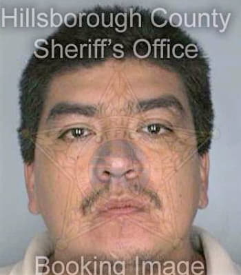 Regino Mario - Hillsborough County, FL 