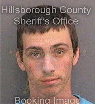 Wallace Ryan - Hillsborough County, FL 