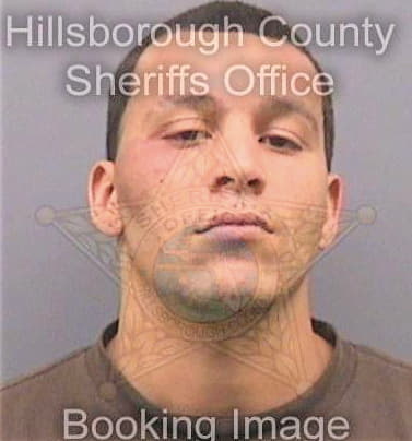 Garcia Christopher - Hillsborough County, FL 