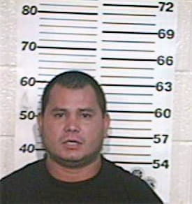 Hernandez Erik - Hidalgo County, TX 