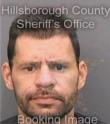 Perez Josue - Hillsborough County, FL 