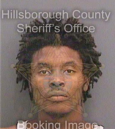 Neal Gabriel - Hillsborough County, FL 