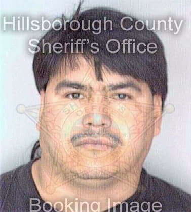 Jimenez Jorge - Hillsborough County, FL 