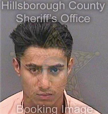 Linares Jose - Hillsborough County, FL 