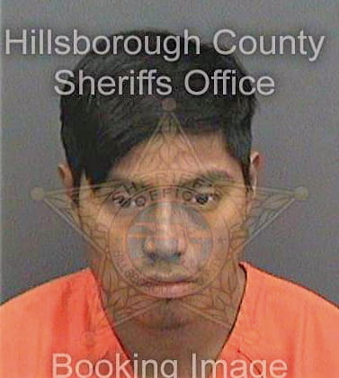 Gomezgomez Julio - Hillsborough County, FL 