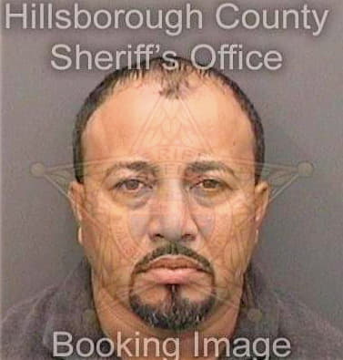 Herrera Jorge - Hillsborough County, FL 