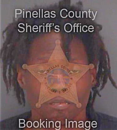 Lynch Shawn - Pinellas County, FL 