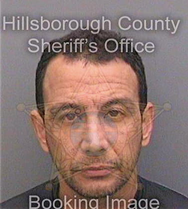 Delafegiralde Amaury - Hillsborough County, FL 