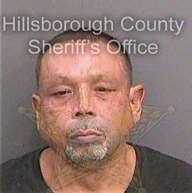 Dejesussanchez Wilfredo - Hillsborough County, FL 