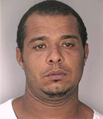Mcintosh Thomas - Hillsborough County, FL 