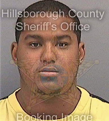Smith Aaron - Hillsborough County, FL 