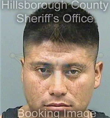 Mendezperez Ariel - Hillsborough County, FL 