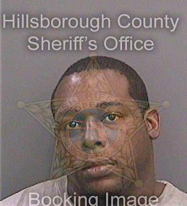 Mitchell Steven - Hillsborough County, FL 