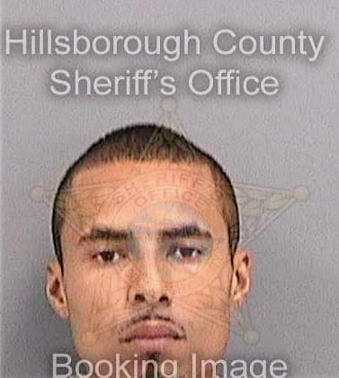 Gonzalez Alan - Hillsborough County, FL 