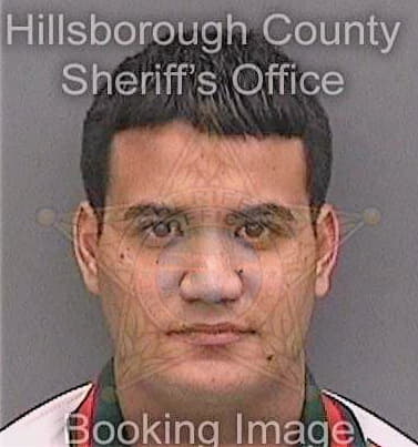 Guerra-Cabrera Leonar - Hillsborough County, FL 