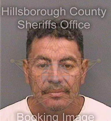 Gonzalezortiz Ranulfo - Hillsborough County, FL 