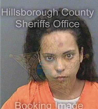 Perez Milagros - Hillsborough County, FL 