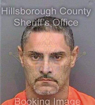 Negron Carlos - Hillsborough County, FL 