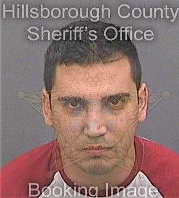 Renteria Carlos - Hillsborough County, FL 