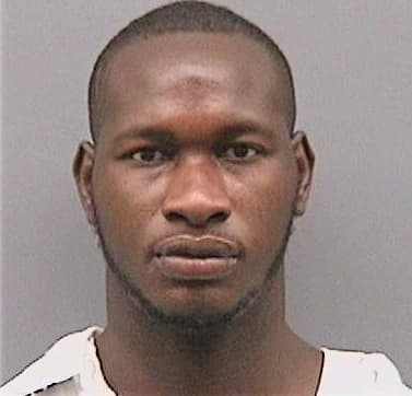 Levy Erick - Hillsborough County, FL 