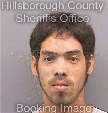 Diaz Francisco - Hillsborough County, FL 