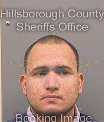 Diazcarranza Marlon - Hillsborough County, FL 