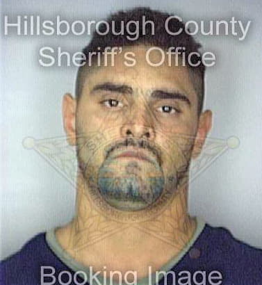 Negron Carlos - Hillsborough County, FL 