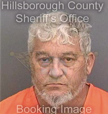 Gonzalez David - Hillsborough County, FL 