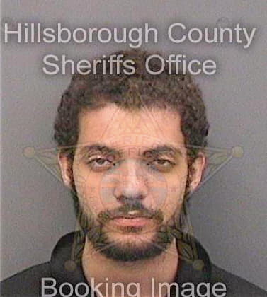 Vesey Dennis - Hillsborough County, FL 