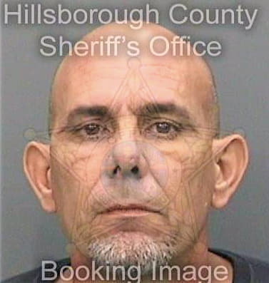 Deleongonzalez Omar - Hillsborough County, FL 