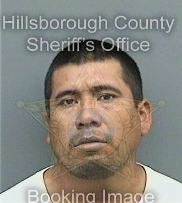 Navarro Hugo - Hillsborough County, FL 