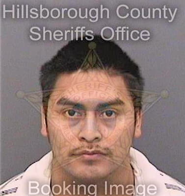 Perezventura Nelson - Hillsborough County, FL 