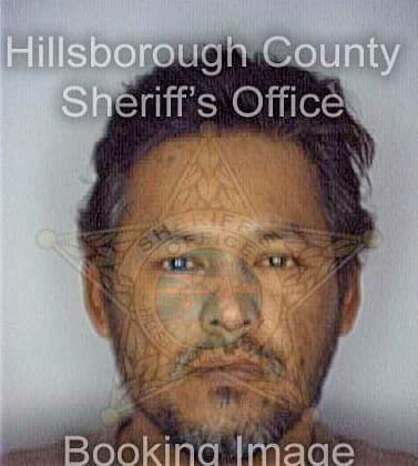 Rodriguez Chris - Hillsborough County, FL 
